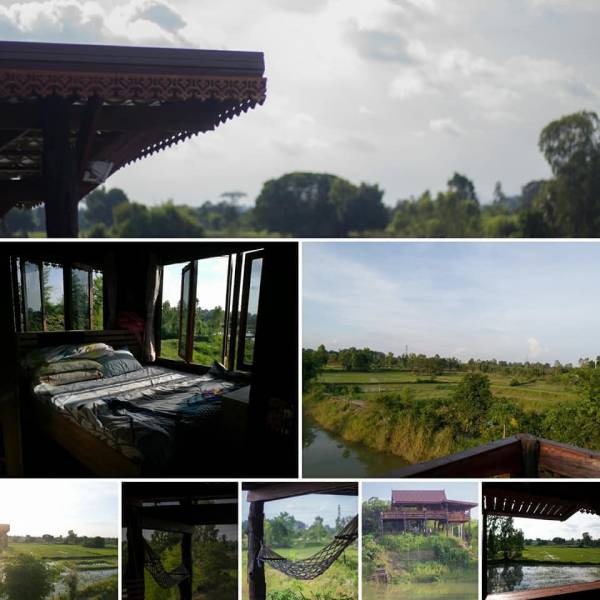 WWOOF Image 0